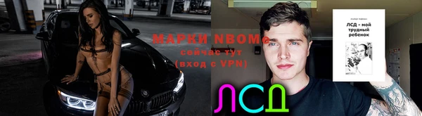 гидропоника Дмитриев