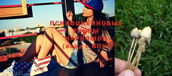 прущая мука Дмитров