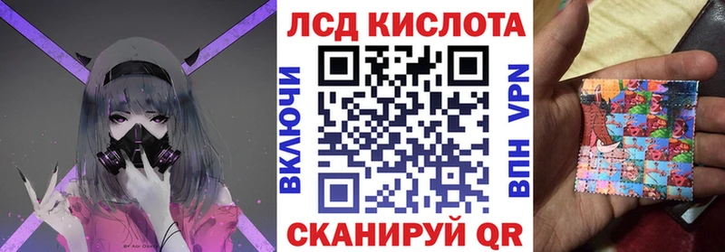 kraken зеркало  Пикалёво  Марки N-bome 1,5мг 