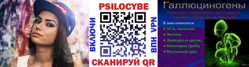 Галлюциногенные грибы Psilocybine cubensis Пикалёво